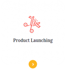 product launching product launching